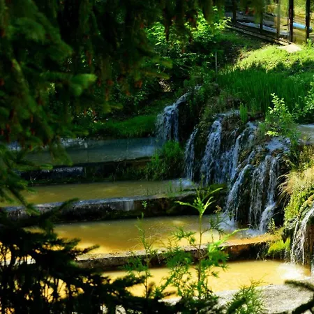 מלון рибарникъ